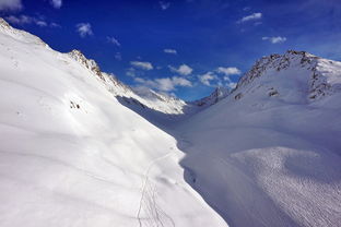 开云app客服-谷爱凌带动滑雪进校园活动升温，中国自由式滑雪选手谷爱凌介绍